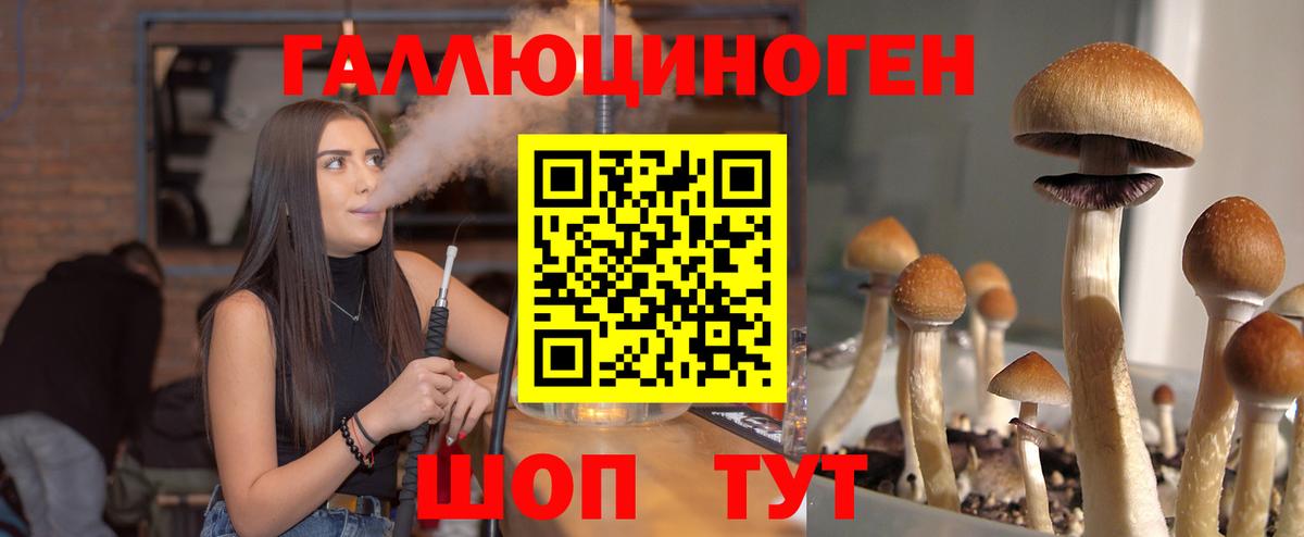 Псилоцибиновые грибы мухоморы Волгодонск