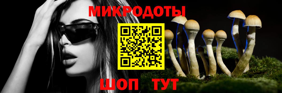 Волгодонск  Псилоцибиновые грибы Cubensis  Вход с VPN 